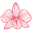 Favicon orchid-info.org
