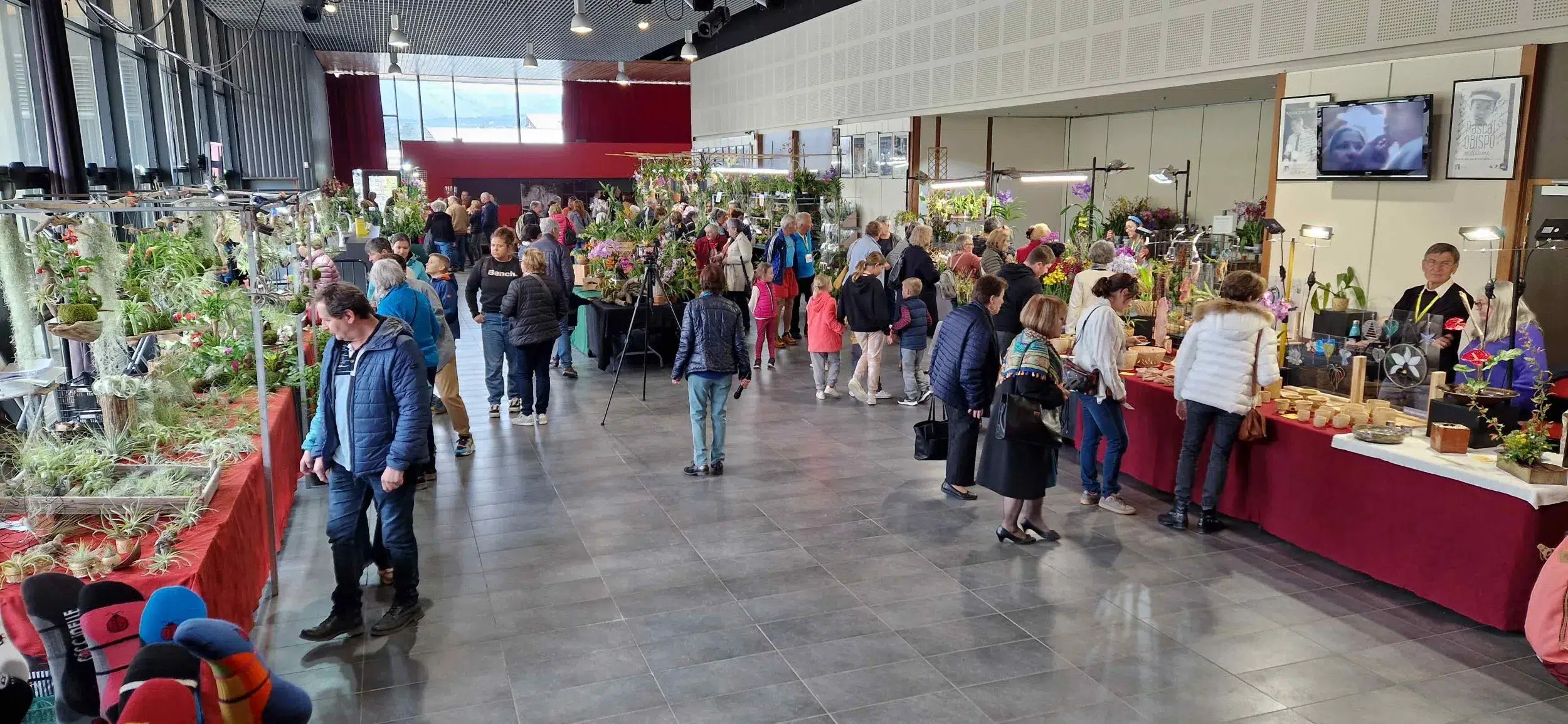 Salon de l'orchidée à Gap
